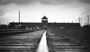 Auschwitz_Birkenau_Borner_b.jpg